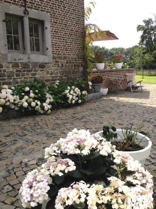 Country House Clos Des Hortensias Blegny Exterior photo